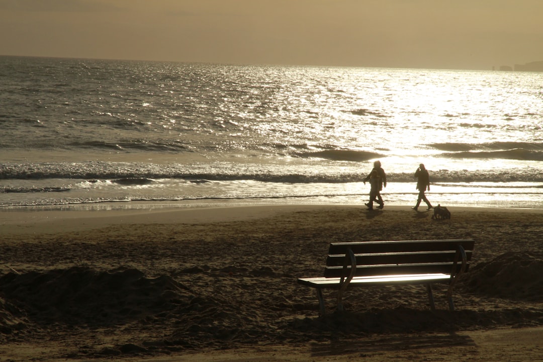Discover the Hidden Gem of Bournemouth: A Comprehensive Guide to the UK’s Favorite Coastal Town