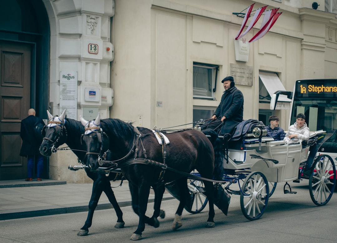 The Ultimate Guide to Hackney Carriage: Understanding the History, Regulations, and Future of London’s Iconic Taxis