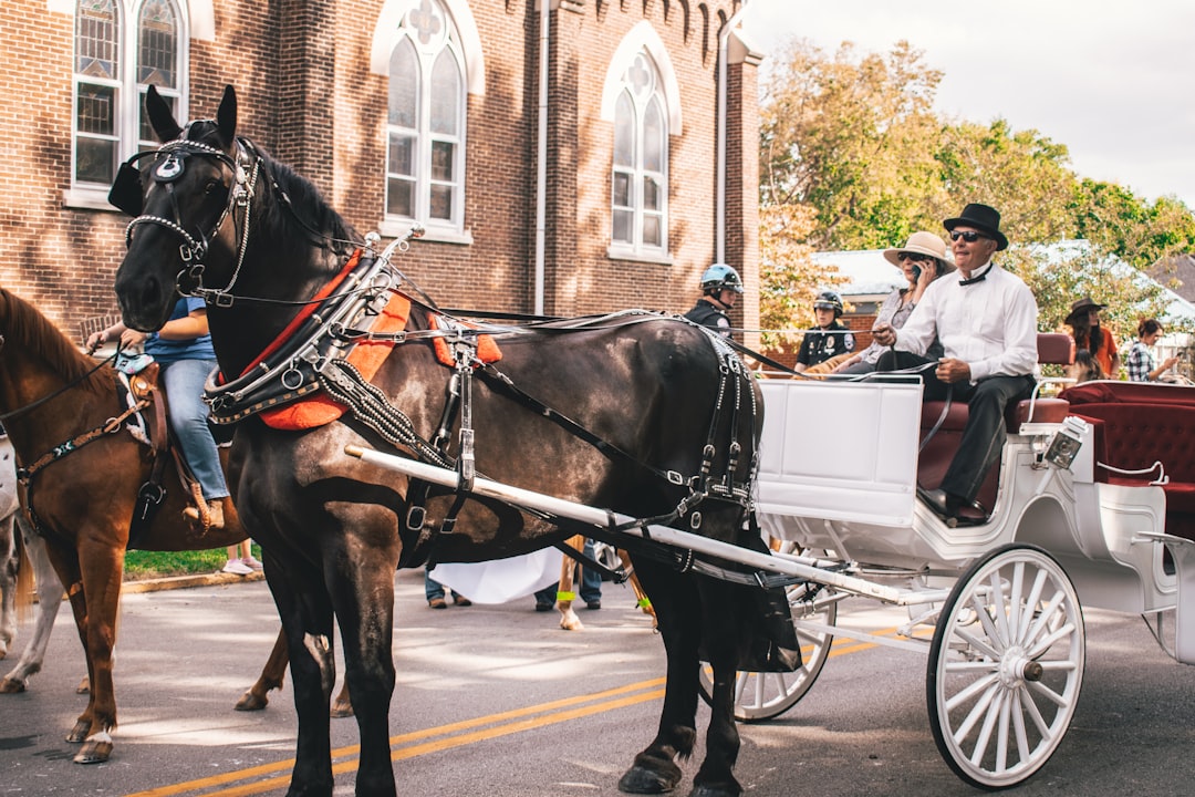 Unlocking the Secrets of Hackney Carriage: A Comprehensive Guide to London’s Iconic Taxis