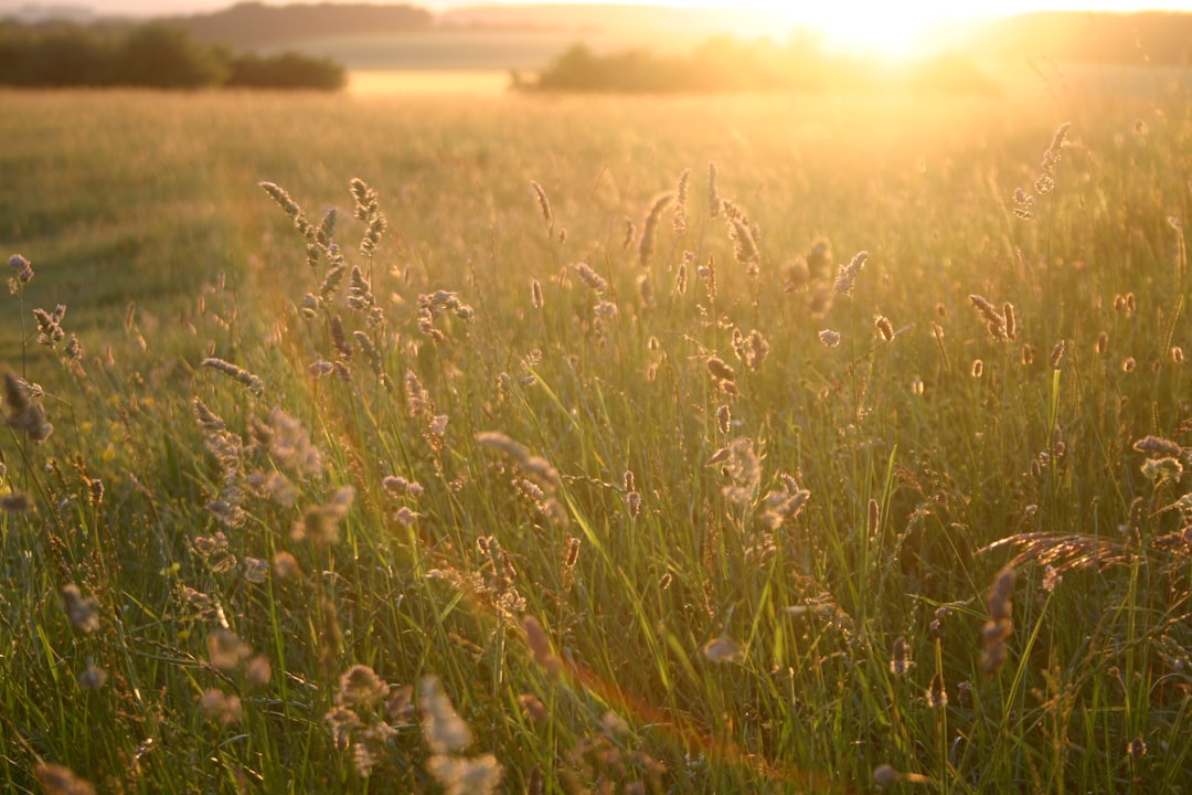Discover the Hidden Gem of Dorset: A Comprehensive Guide to England’s Best-Kept Secret