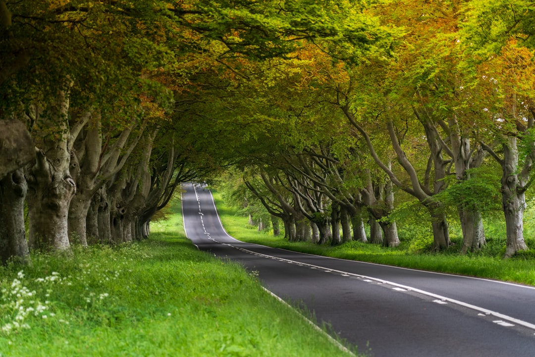 Title: The Ultimate Guide to Airport Transfers in Wimborne – Stress‑Free Travel Every Time