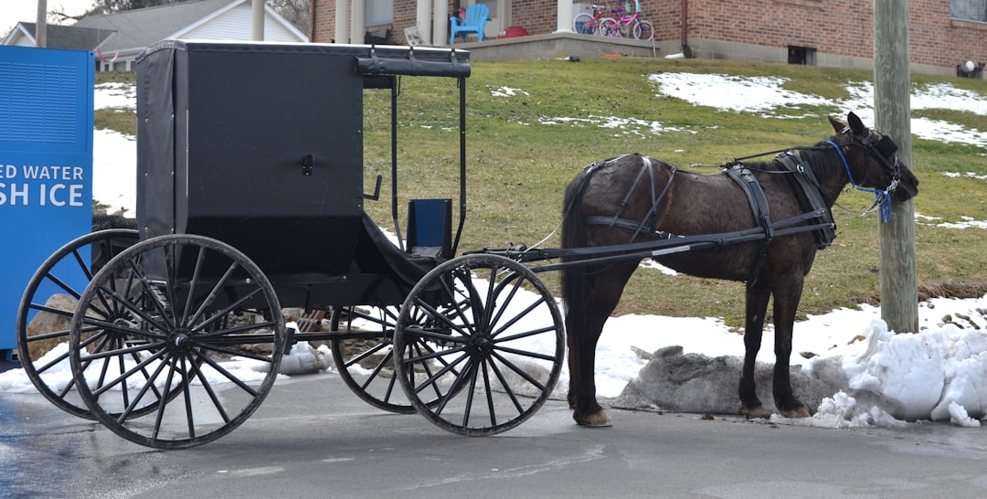 Title: The Ultimate Guide to Hackney Carriages: History, Regulations, How to Ride, and What the Future Holds