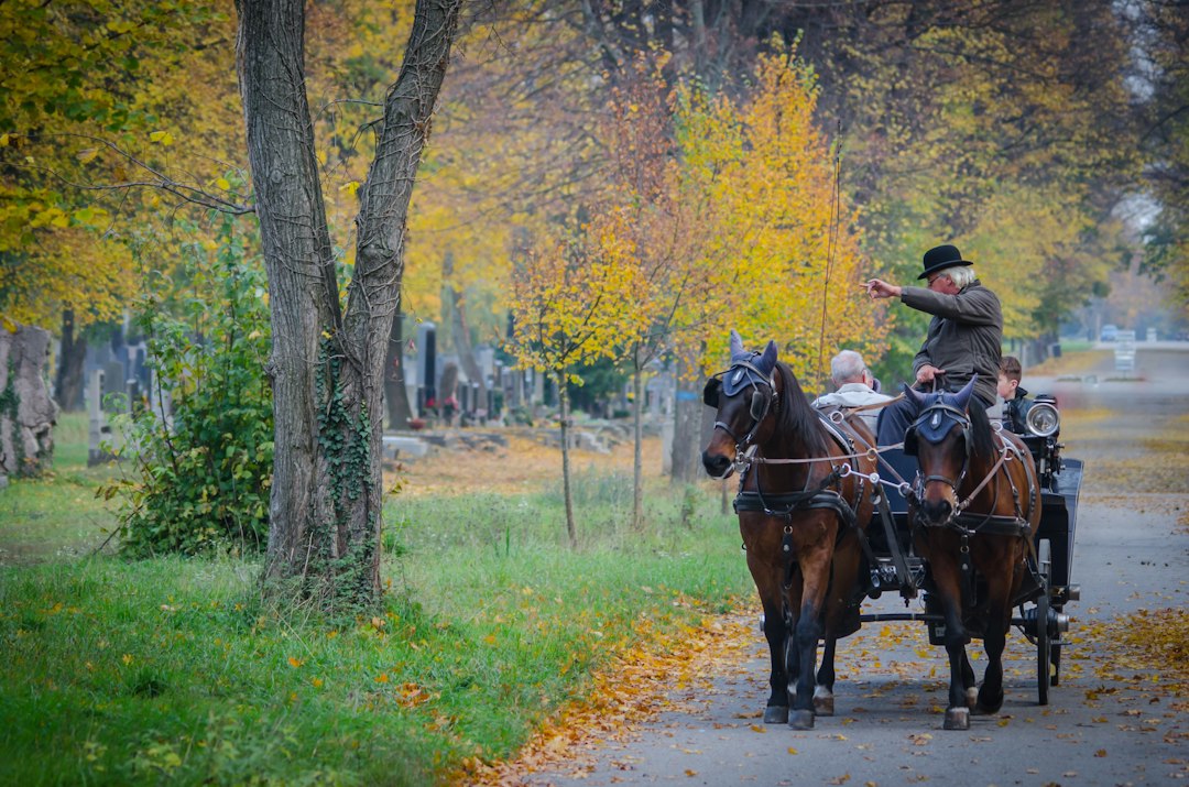 Title: The Ultimate Guide to Hackney Carriages – History, Rules, Tips & the Future of the Iconic Taxi
