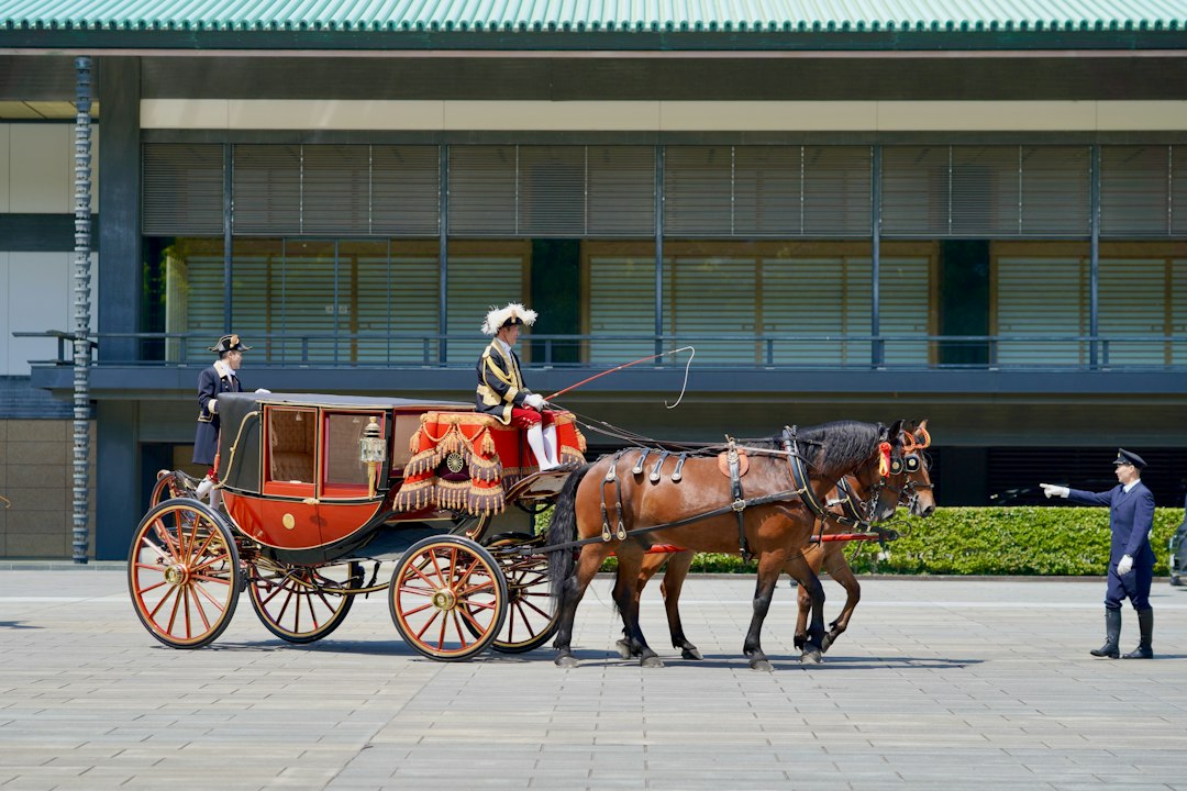 The Ultimate Guide to Hackney Carriages – From Their Storied Past to Modern‑Day Tips for Riders and Drivers